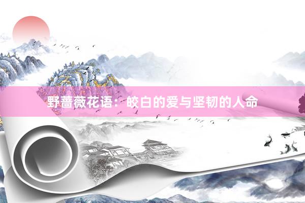野蔷薇花语：皎白的爱与坚韧的人命