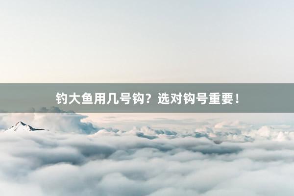 钓大鱼用几号钩？选对钩号重要！