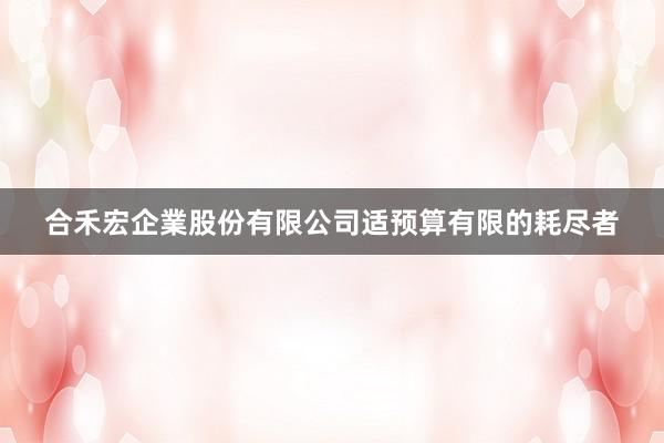 合禾宏企業股份有限公司适预算有限的耗尽者