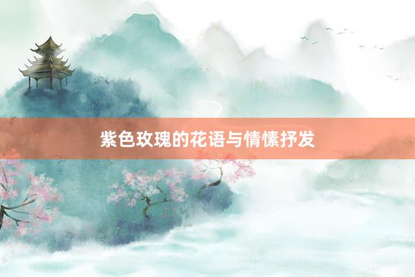 紫色玫瑰的花语与情愫抒发