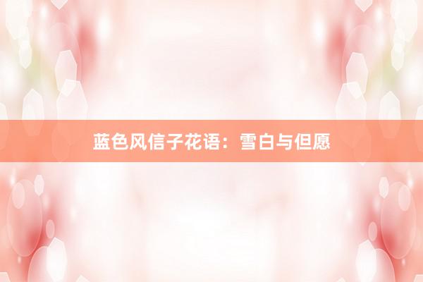 蓝色风信子花语：雪白与但愿