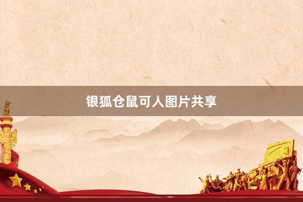 银狐仓鼠可人图片共享