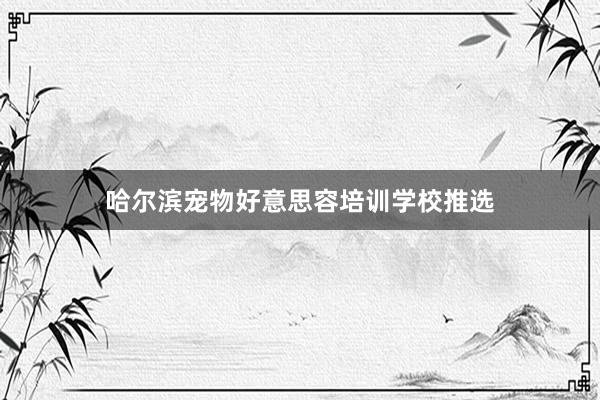 哈尔滨宠物好意思容培训学校推选